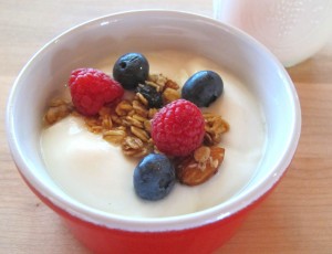 LF Yogurt 21 300x230