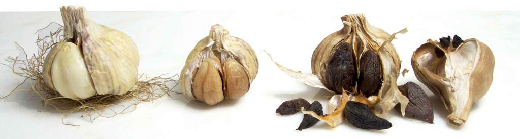 Stages of Black Garlic