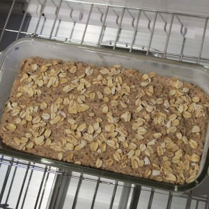 GF Currant Oat Loaf Rising in the Proofer